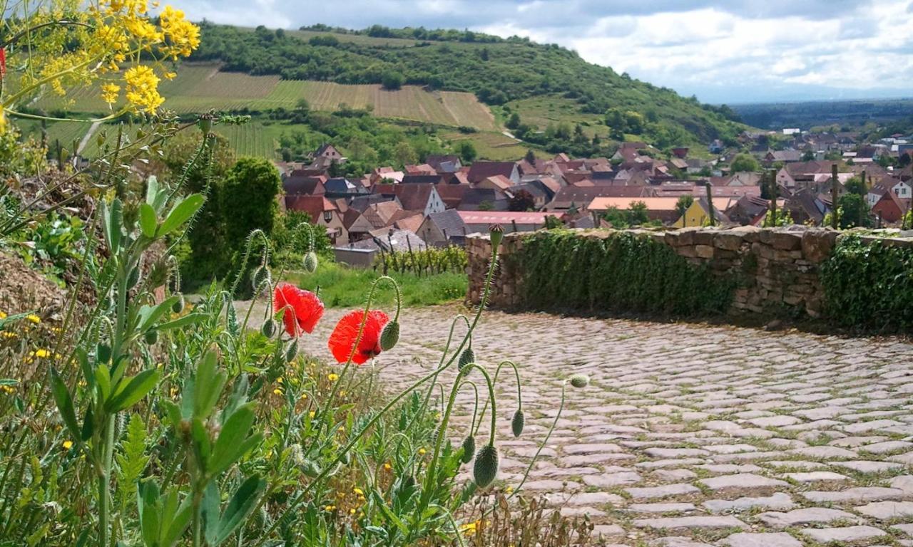 Auberge Du Cheval Blanc Depuis 1785 Westhalten Dış mekan fotoğraf
